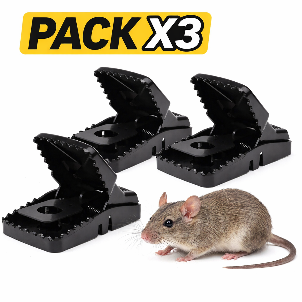 Pack X3 Trampas Para Ratas 🐭
